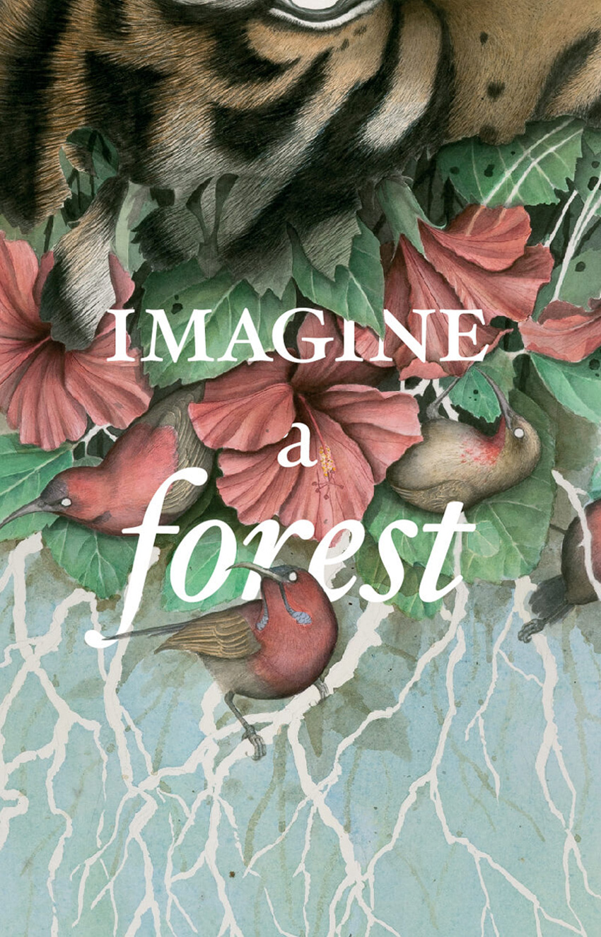 Imagine a Forest