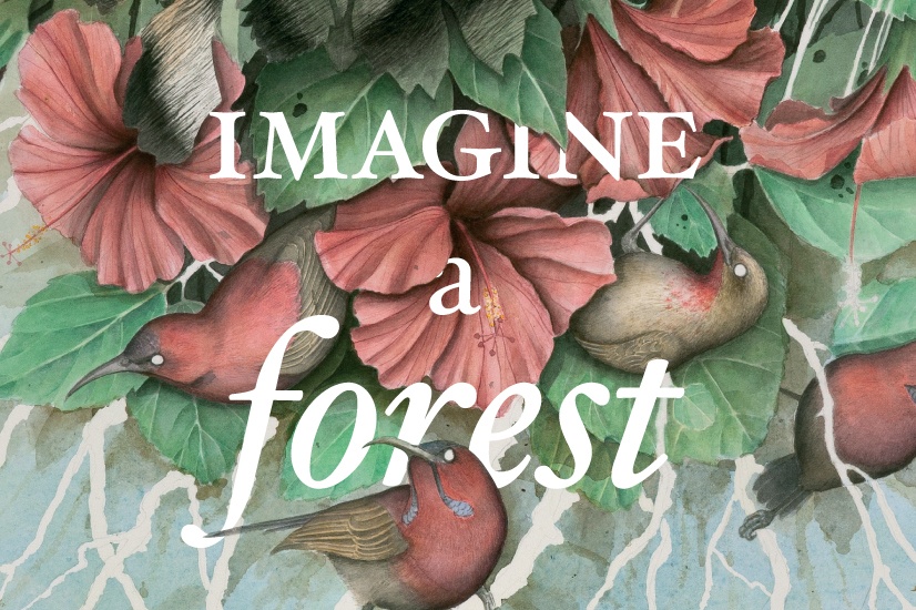 Imagine a Forest